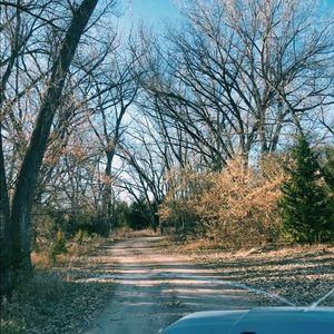 Meet your Posher, Molly